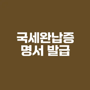 국세완납증명서 발급처와 방법 상세 안내