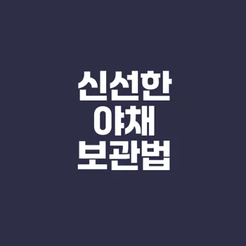 신선한 야채 보관법 총정리