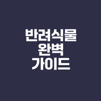 반려식물로 즐기는 삶의 변화