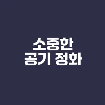 공기정화식물의 장점과 선택법