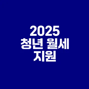 2025 서울 청년 월세 지원금 효율적 신청법은?