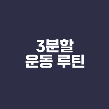 주3일 3분할 운동 루틴 완벽 가이드