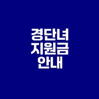 2025년 경력단절여성 지원금은 무엇인가