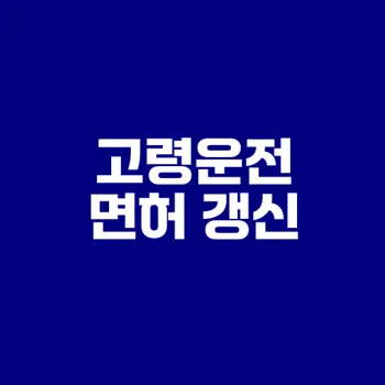 2025 고령운전자 면허 갱신 필독