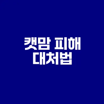 캣맘 대처법 알아보기 및 효과적인 전략은