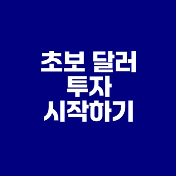 초보자가 시작하는 달러 투자 방법은
