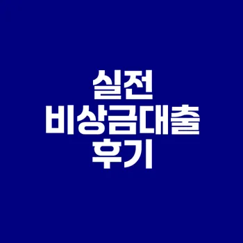 비상금대출 후기 분석과 성공 팁 가이드
