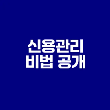 사회초년생 신용관리 비법 총정리