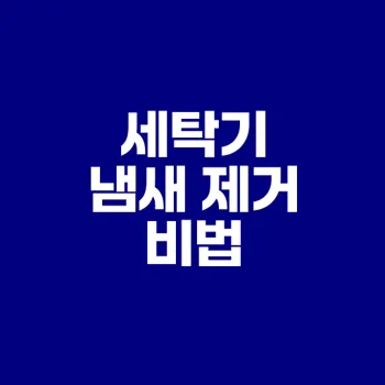 세탁기에서 나는 냄새, 이렇게 제거하세요