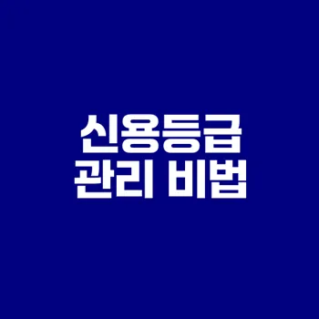 신용등급 무료 조회와 관리 비법은?