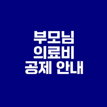 부모님 의료비 공제 조건과 신청 방법