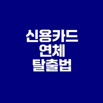 2025 신용카드 연체 어떻게 해결할까