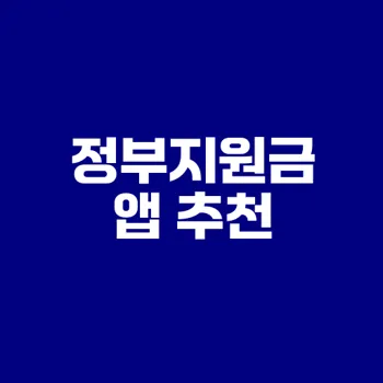 정부지원금 놓치지 않는 앱 3종 비교