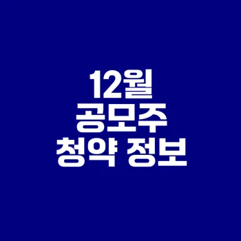 2024년 12월 공모주 일정과 투자 노하우