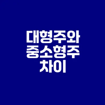 대형주와 중소형주 투자 선택은?