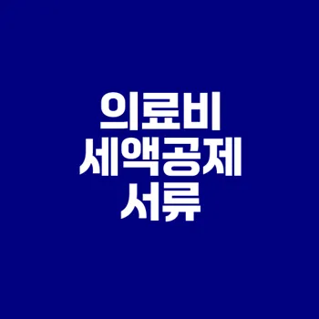 출산 가정 의료비 세액공제 필수 서류는?