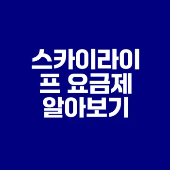 스카이라이프 요금제 정보와 안전한 개인정보 관리 방법
