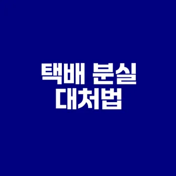 택배 분실 시 대처 및 보상 방법은?