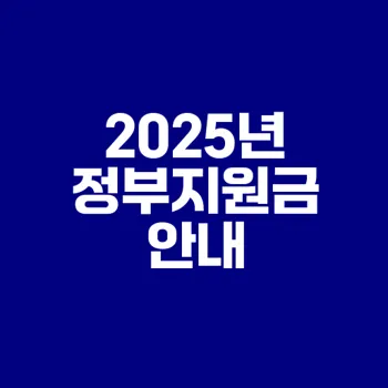 2025년 정부지원금 신청법 완벽 가이드