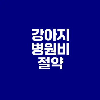 강아지 병원비 절약 꿀팁과 펫보험 활용법