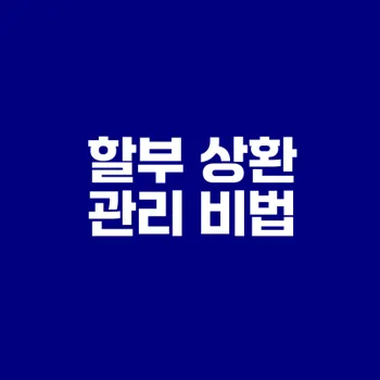 국민은행 할부 일부 상환 전략은 무엇인가