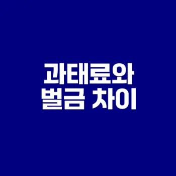 초보 운전자를 위한 과태료와 벌금 차이