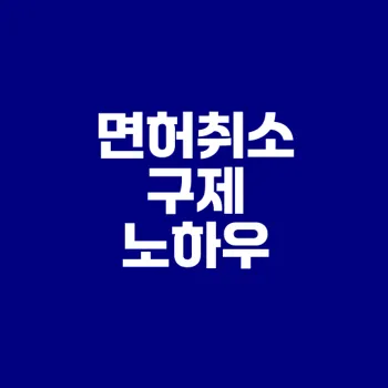 음주운전 면허취소 구제 방법은 무엇인가