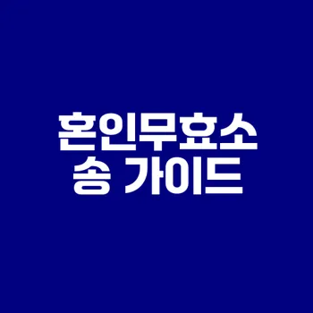 혼인무효소송 절차와 필요성 안내