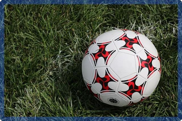 2026 FIFA 월드컵 홍명보호의 전투 예고