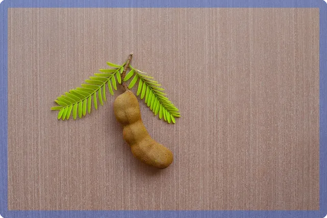 소녀전선2 린드의 모든 것 살펴보기