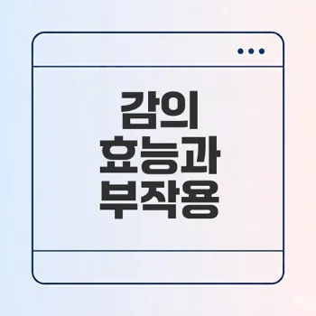 홍시 단감 떫은 감의 모든 효능과 주의점은