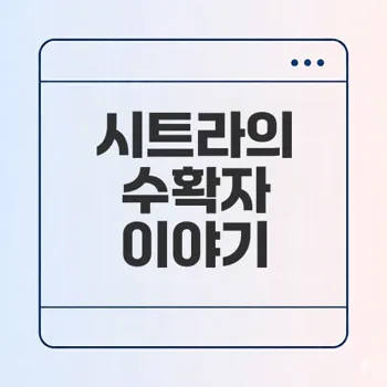 시트라 테라노바 이야기의 비밀은 무엇인가