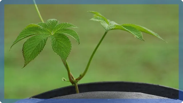 영등포 방충망 교체의 모든 것