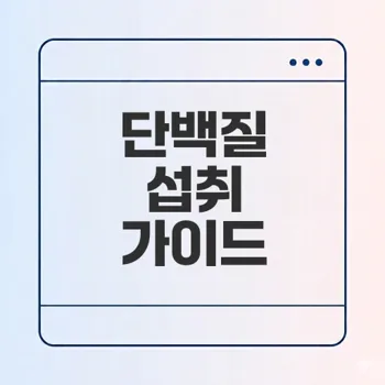단백질 섭취의 비밀 알아보기