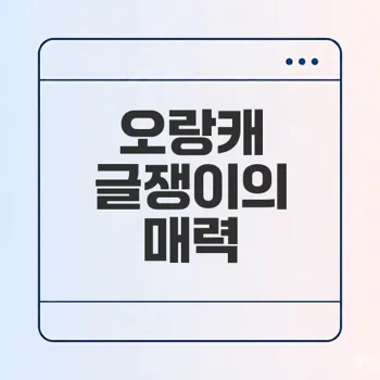 무협 미연시 오랑캐 글쟁이 설정은 무엇인가